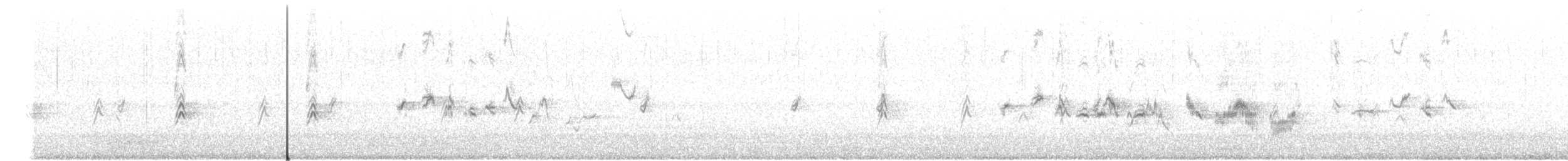 House Finch - ML197411471
