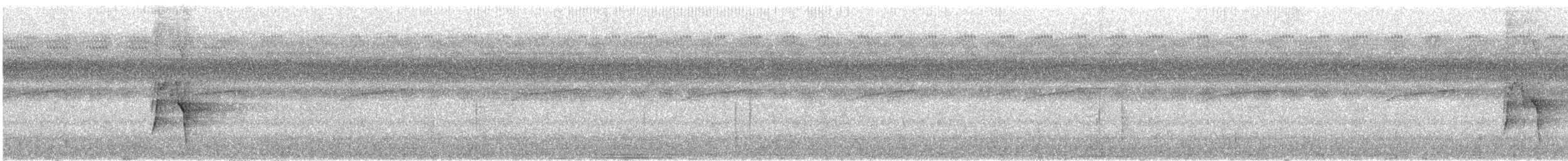 Бор шувууны багын тодорхойгүй зүйл - ML197441881