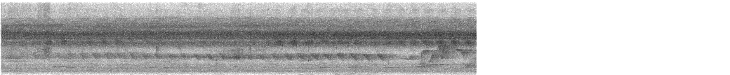 Бор шувууны багын тодорхойгүй зүйл - ML197441951