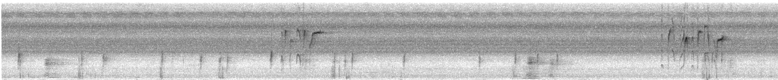 Black Sunbird - ML197442641