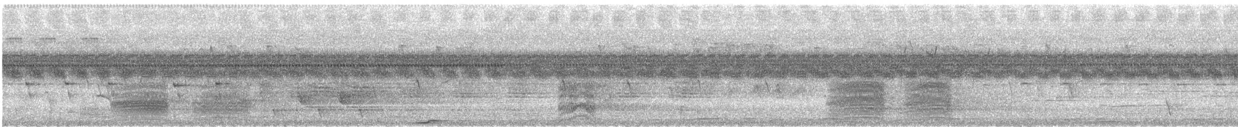 Moluccan Eclectus - ML197451151