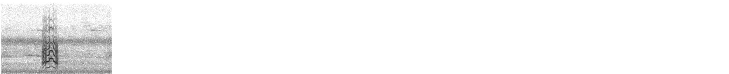 Moluccan Eclectus - ML197455331