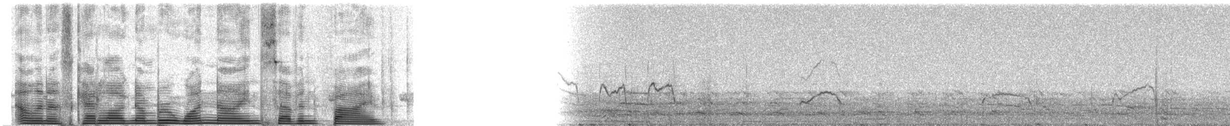 白腰叉尾海燕(leucorhoa) - ML1975