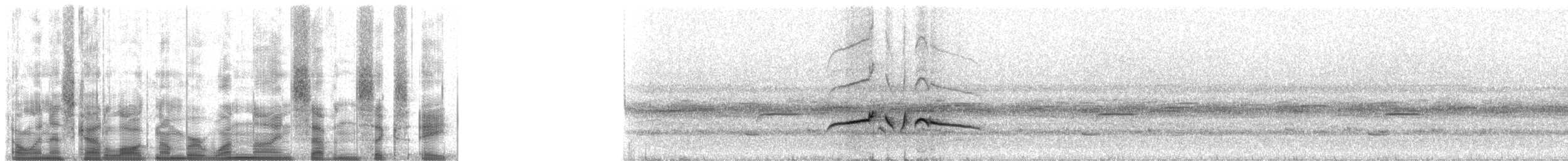 Küçük Antil Sinekkapanı - ML19768