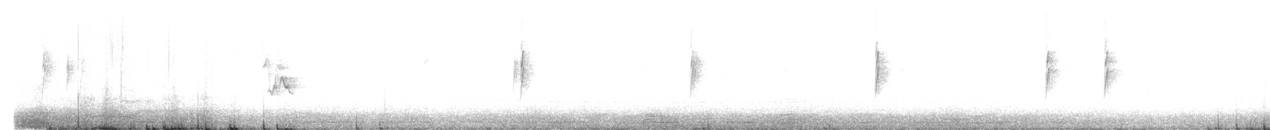 Белокрылая канделита - ML197702301