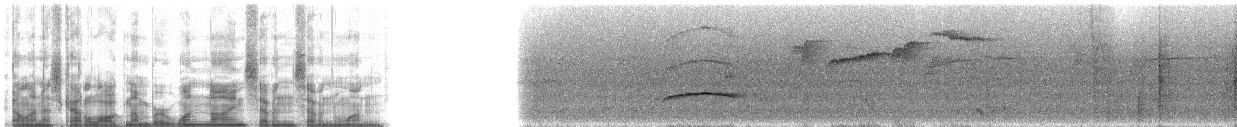 Küçük Antil Sinekkapanı - ML19771