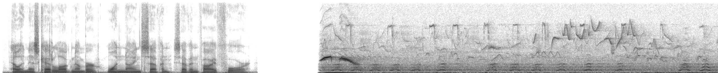 Red-vented Bulbul - ML197754