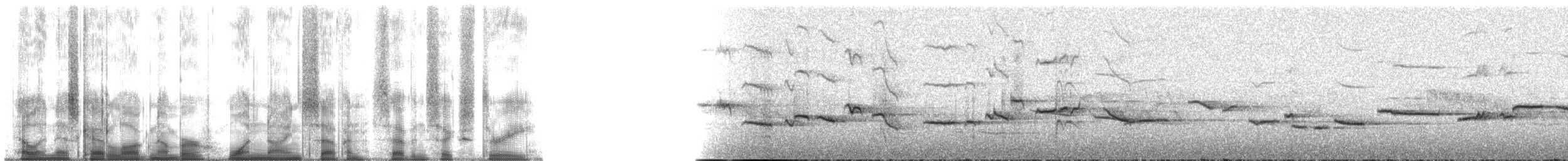 白斑紫嘯鶇 - ML197763