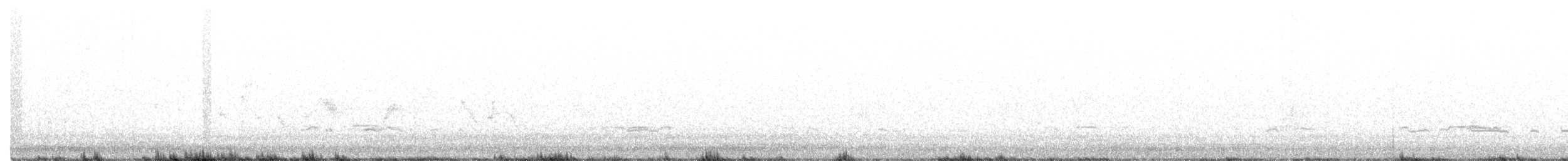 Sarcelle d'hiver (carolinensis) - ML197790621