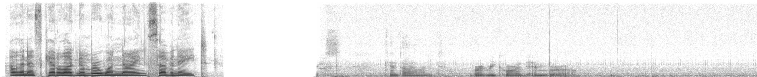 白腰叉尾海燕(leucorhoa) - ML1978