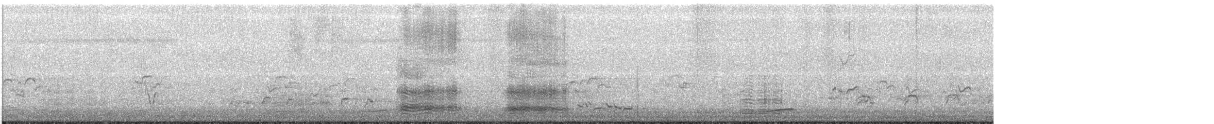 volavka stříbřitá (ssp. nigripes) - ML198003021
