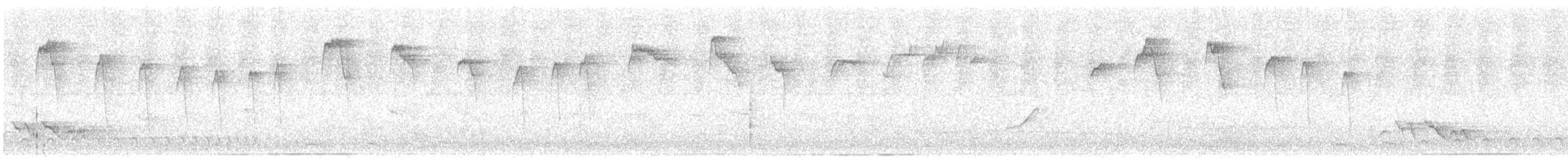 Коричневый колибри-отшельник - ML198164181