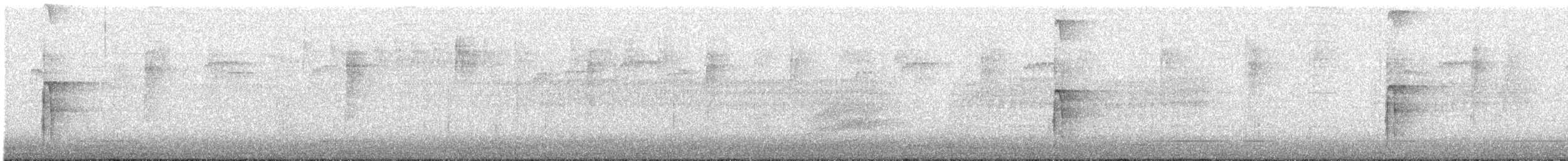 Hairy Woodpecker - ML198200361