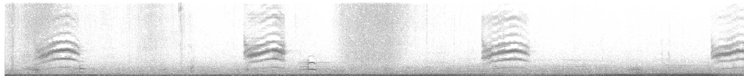 Тауї плямистий - ML198252971