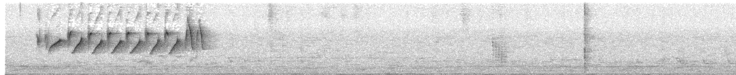 Атласная нектарница - ML198291541