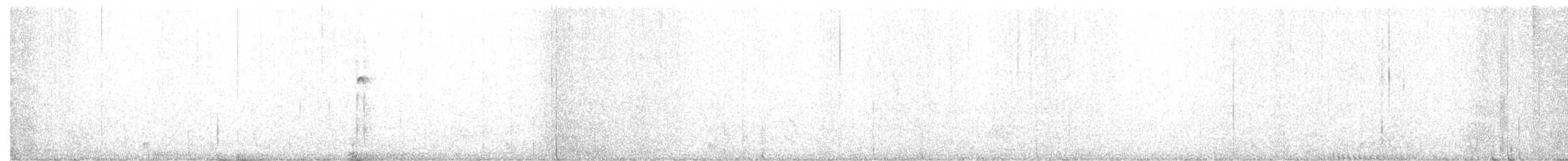 Haarspecht (orius/icastus) - ML198328751