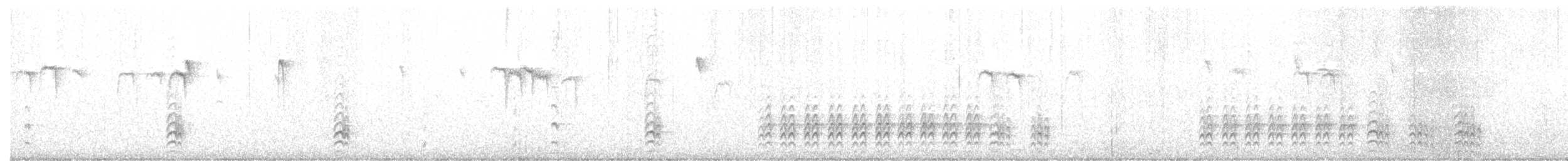 Sittelle à poitrine blanche (groupe lagunae) - ML198328821