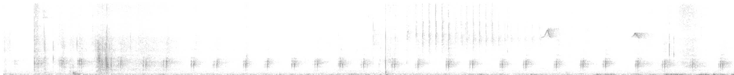 Oréophase cornu - ML198423081