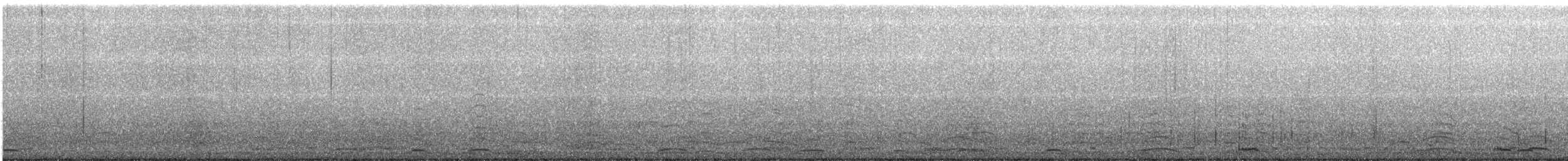 Cygne siffleur - ML198508571