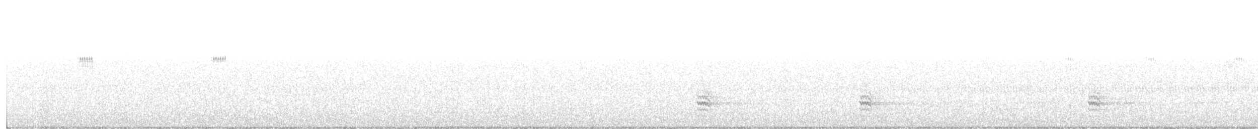Sittelle à poitrine blanche - ML198552461