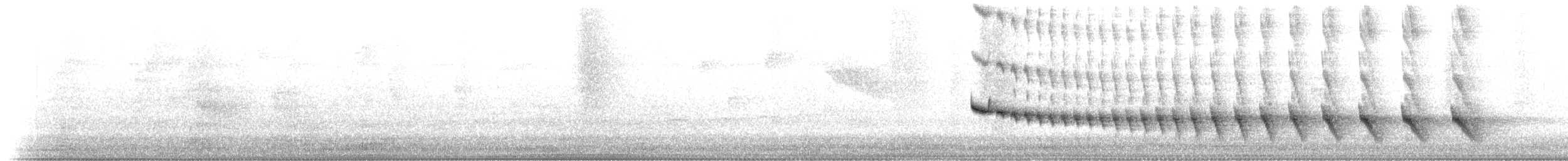 Grauband-Ameisenvogel - ML198744331