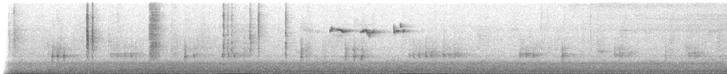 Ariane à ventre gris (groupe tzacatl) - ML198744691