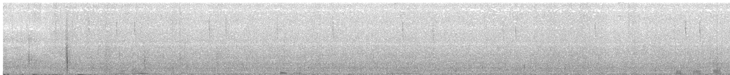 Тихоокеанский крапивник - ML198751451