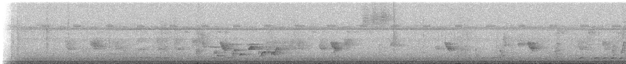 Iora émeraude - ML198769