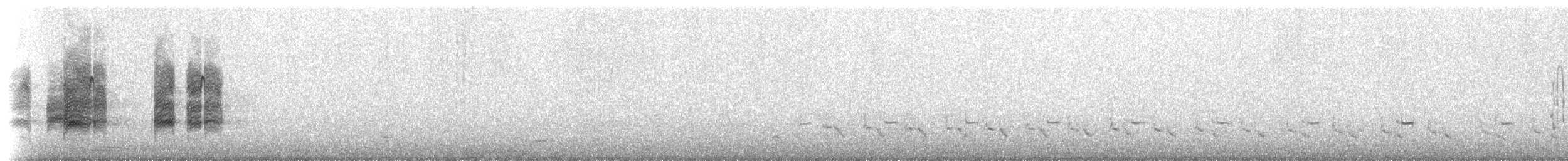 halsbåndfrankolin - ML198995