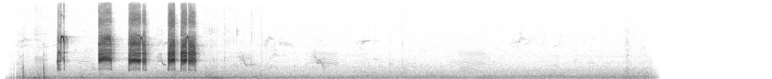 halsbåndfrankolin - ML198998