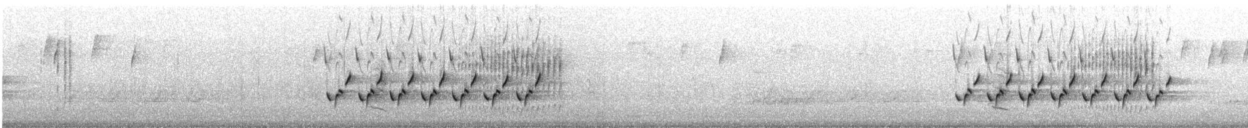Поплітник каролінський - ML199012181