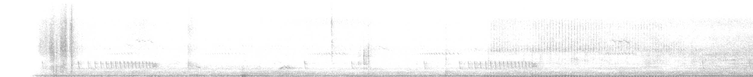 Indian Nightjar - ML199117661