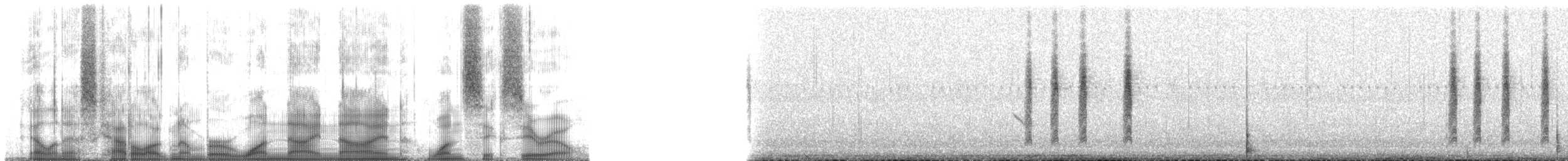 Troglodyte de Latham (platensis/polyglottus) - ML199160