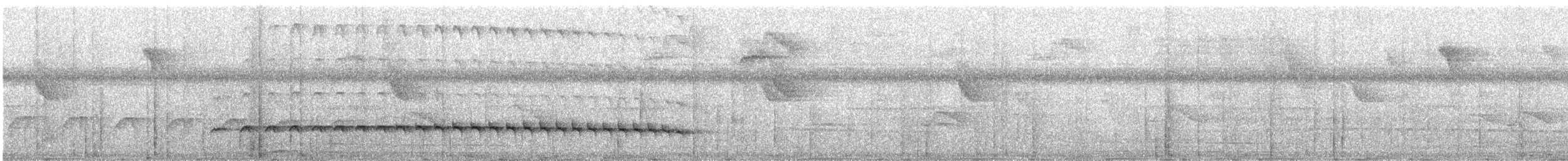 Batarito Coronipunteado - ML199166661