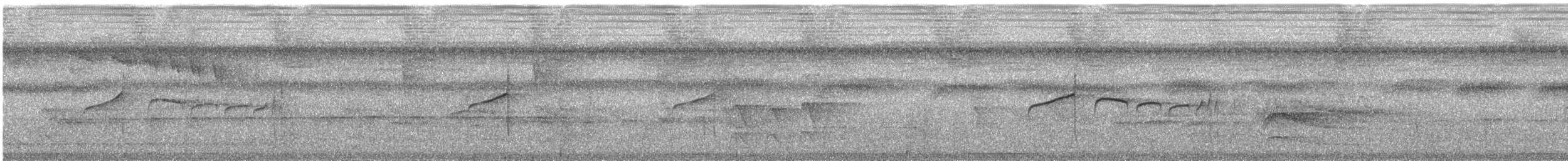 Тиран-карлик буроголовий - ML199227861