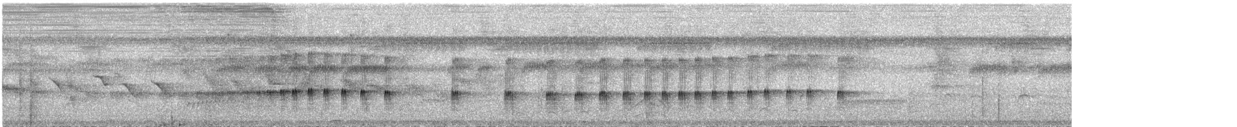 Microtyran chevelu - ML199228751