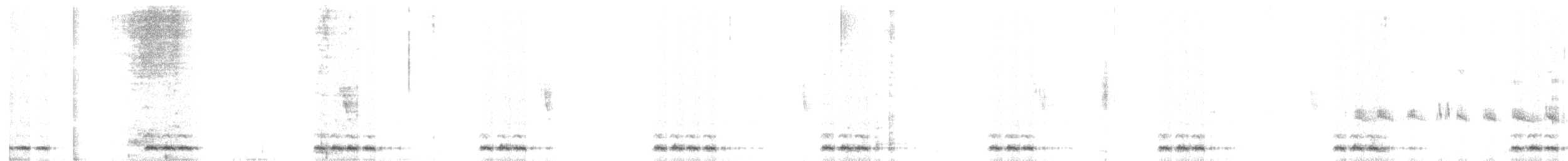 Бородастик смугастий - ML199287681