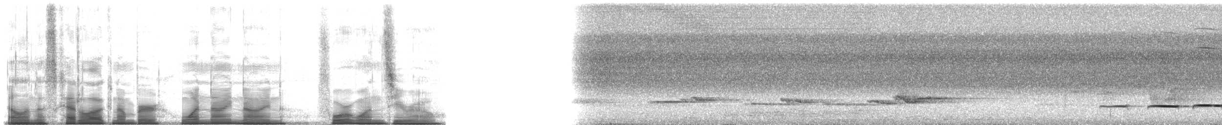 Gözlüklü Yerçavuşu (lizanoi) - ML199410