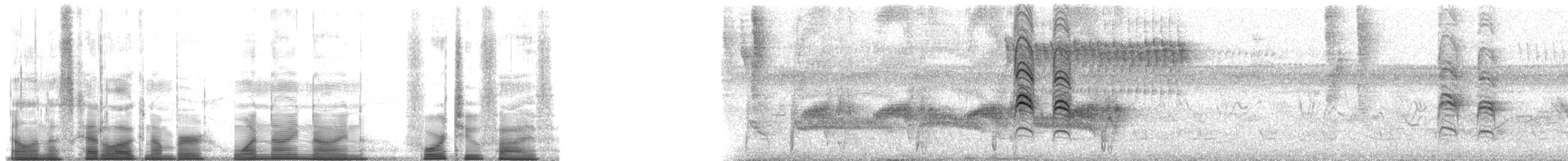 Sporophile variable (corvina) - ML199425