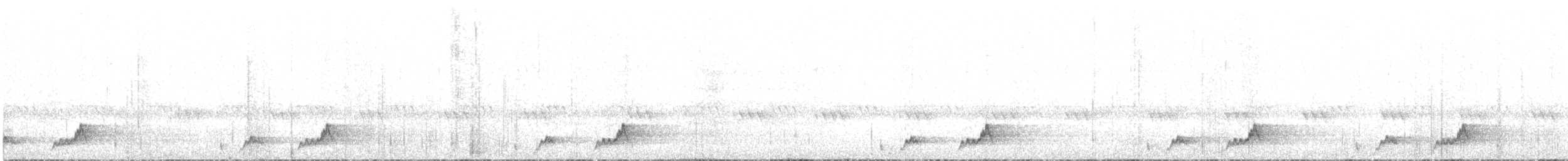 Mexikonachtschwalbe - ML199435211