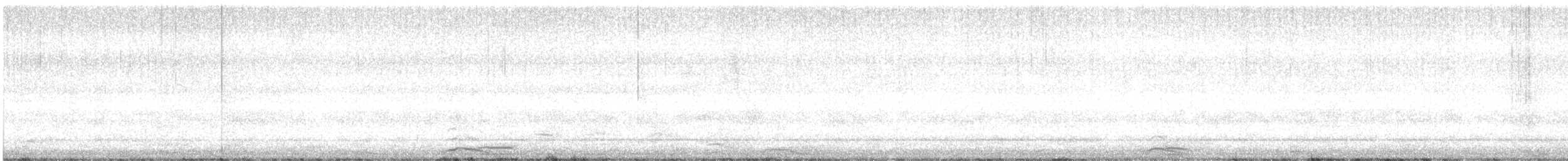 Cygne siffleur - ML199436171