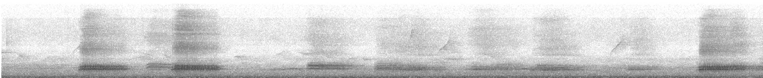 tykknebbkråke (levaillantii) (hindukråke) - ML199471441