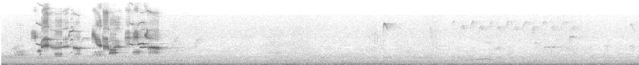 黑領椋鳥 - ML199471481
