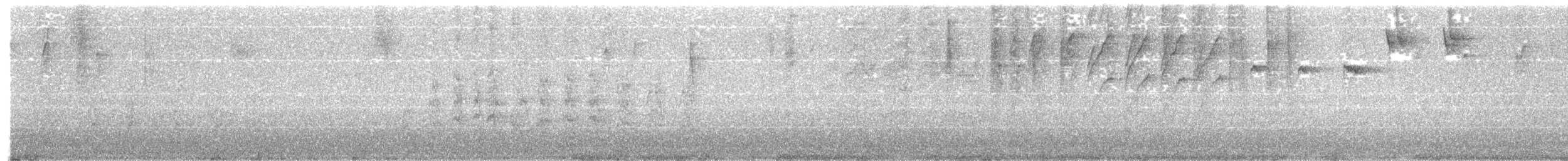 パナマヒタキモドキ - ML199490201