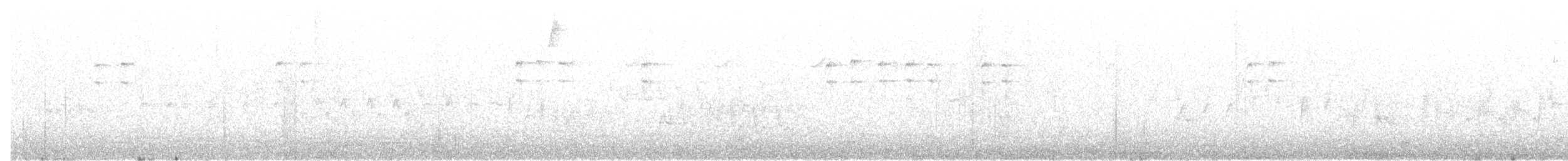 Tyranneau à gorge blanche - ML199583201