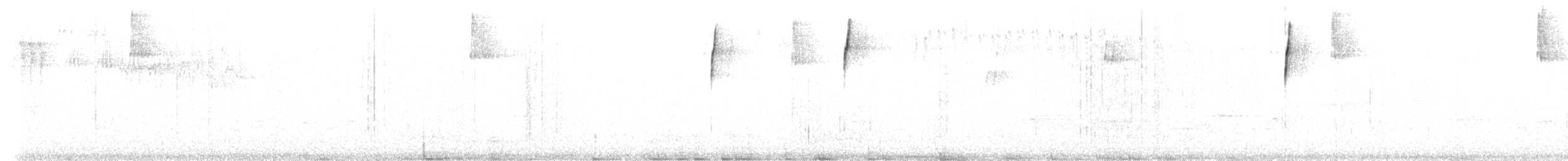 svarthodesilkefugl - ML199586