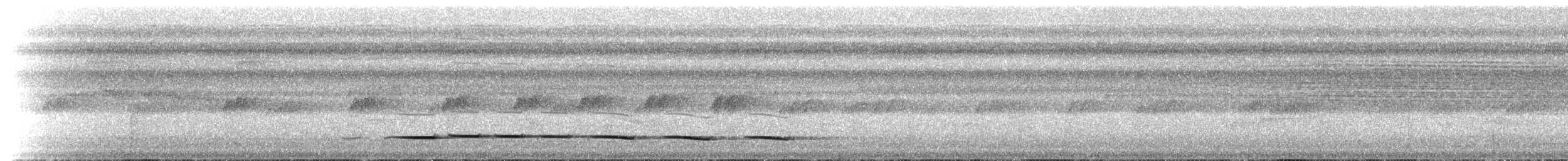 Мурашниця панамська (підвид perspicillatus) - ML199632