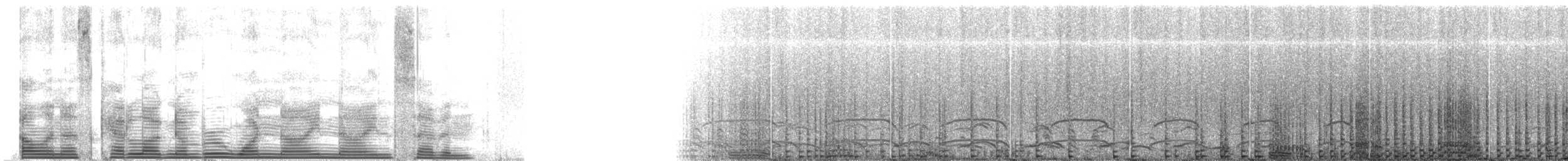 Double-crested Cormorant - ML1997