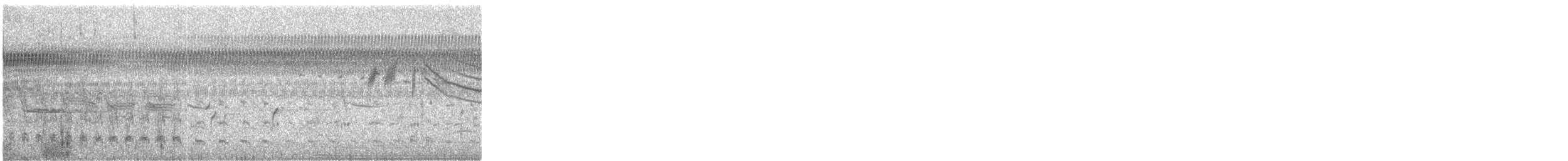 クビワコガモ - ML199713901