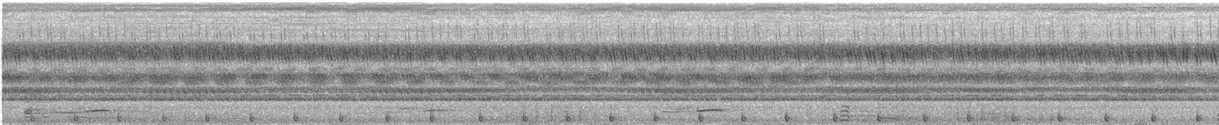 Сова-голконіг плямистоголова - ML199785711